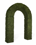 Rounded Boxwood Arch