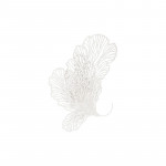 Dimensional Butterfly