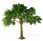 Artificial Ficus Tree   