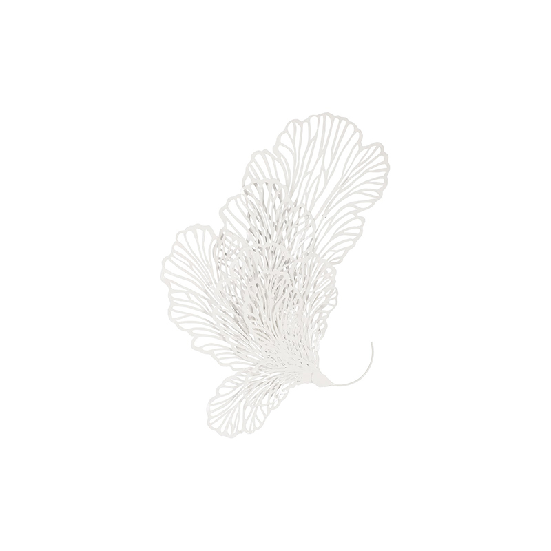 Dimensional Butterfly